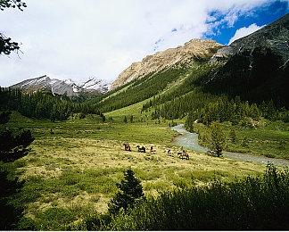 《死亡细胞》恶魔城DLC发布实机游玩视频