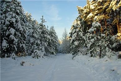 MCU重回大银幕！《漫威复仇者》“无限”畅玩周末限时开启！